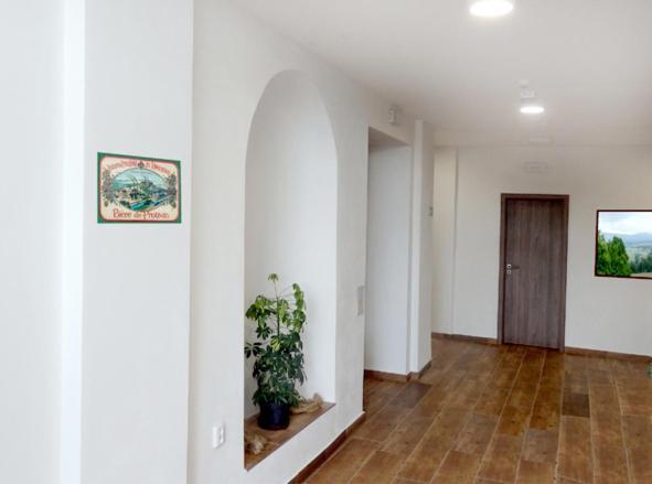 Penzion U Provaznika Zdíkov Exterior foto